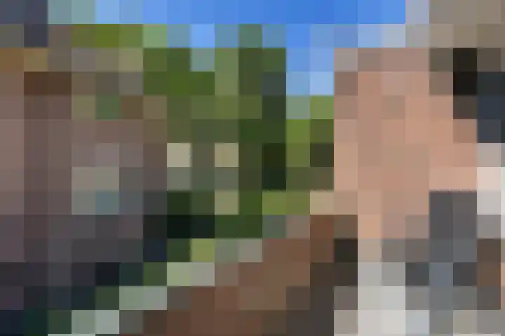 Laan van Leeuwesteyn 6 Voorburg thumbnail 31
