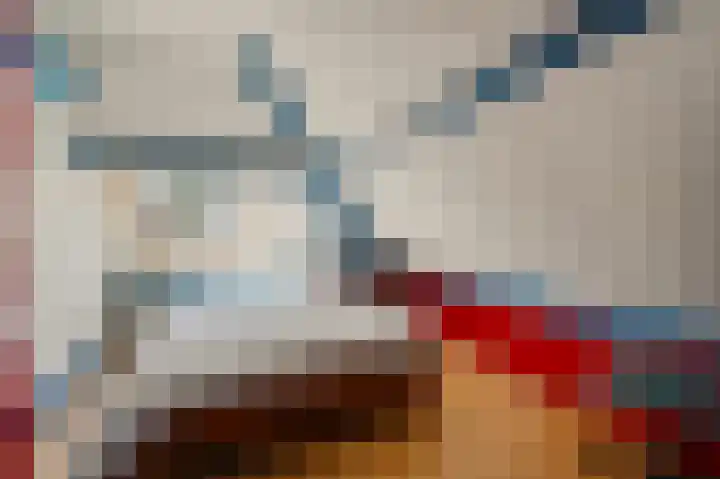 Laan van Leeuwesteyn 6 Voorburg thumbnail 47