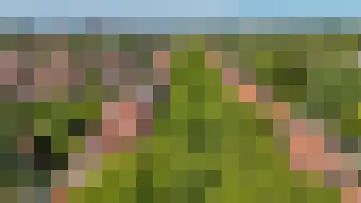 Laan van Leeuwesteyn 6 Voorburg thumbnail 51