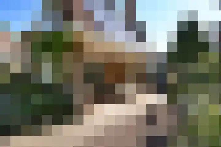 Laan van Leeuwesteyn 6 Voorburg thumbnail 7