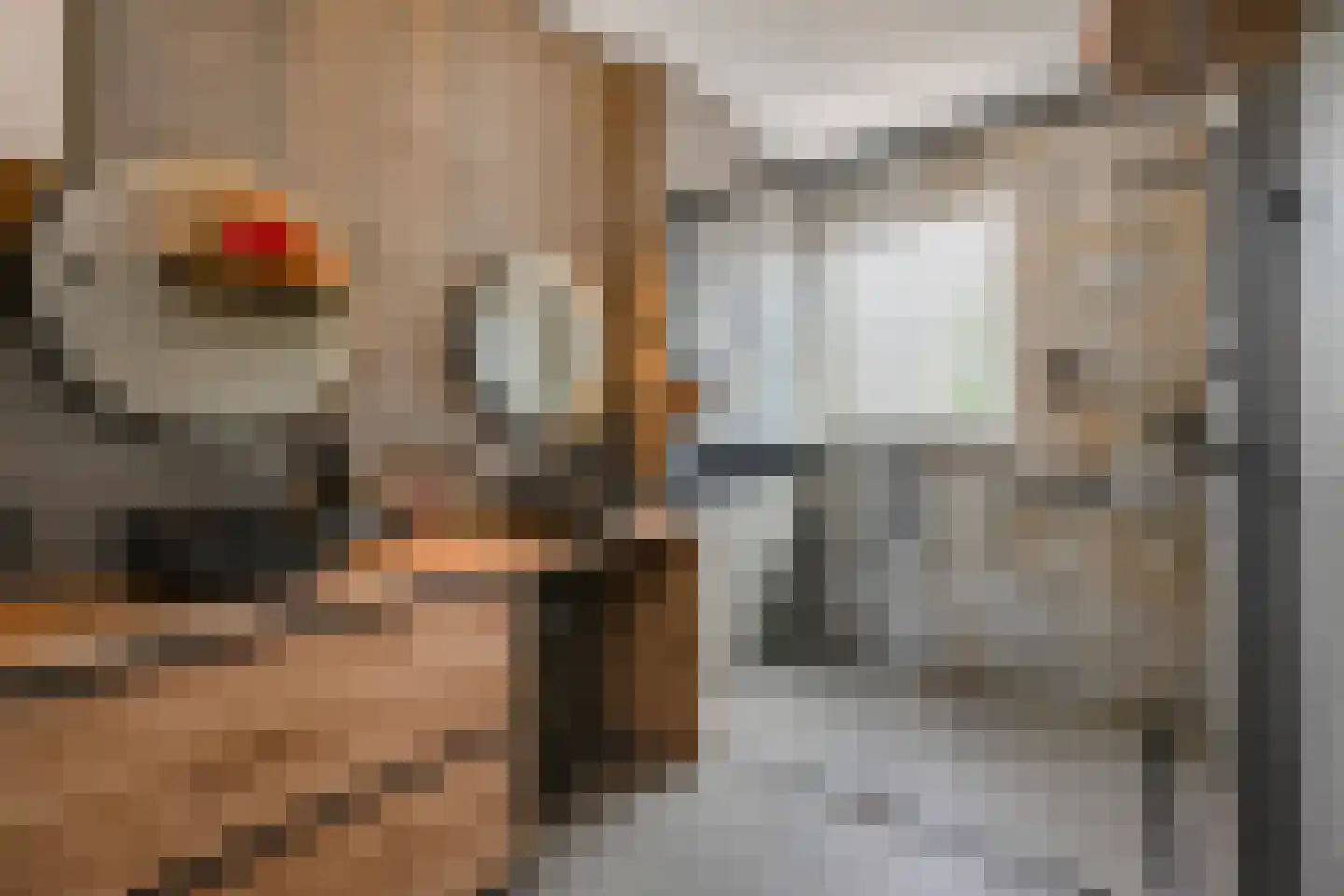 Laan van Leidschenveen 259 Den Haag thumbnail 11