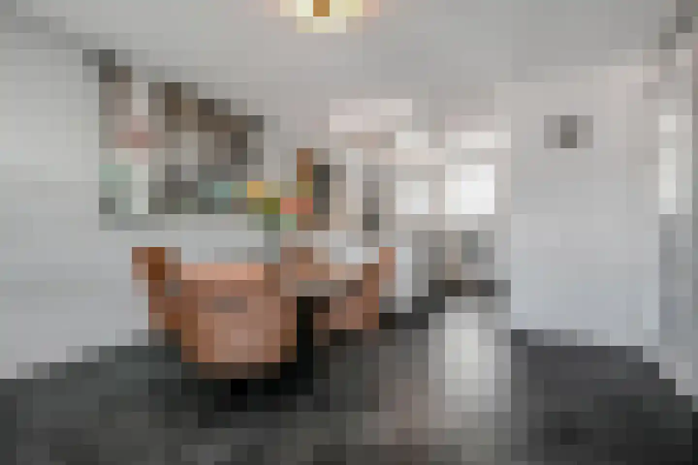 Laan van Leidschenveen 259 Den Haag thumbnail 18