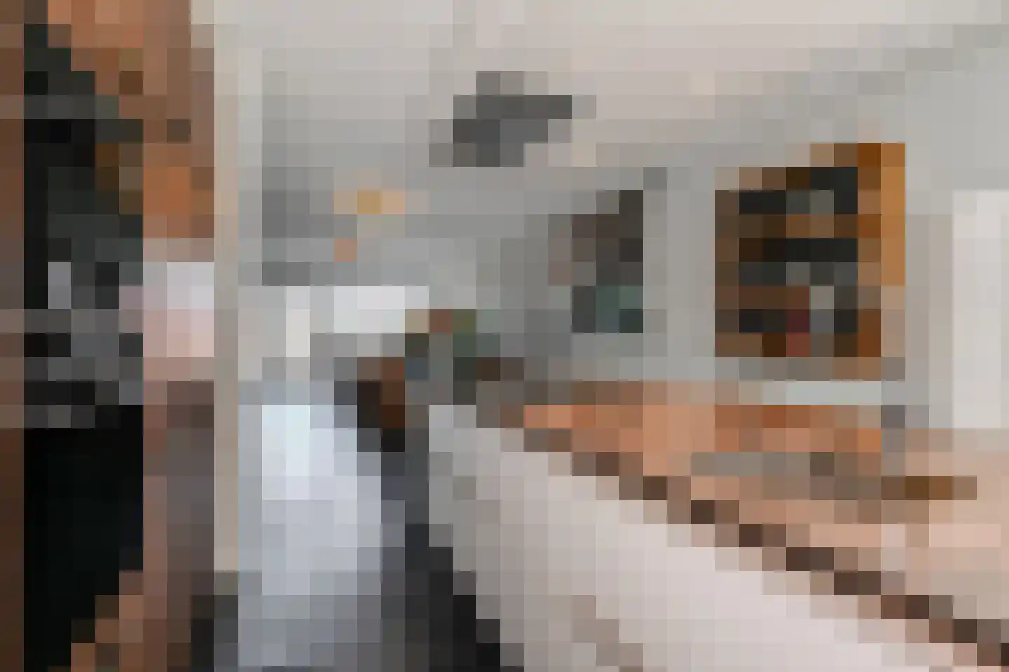 Laan van Leidschenveen 259 Den Haag thumbnail 21