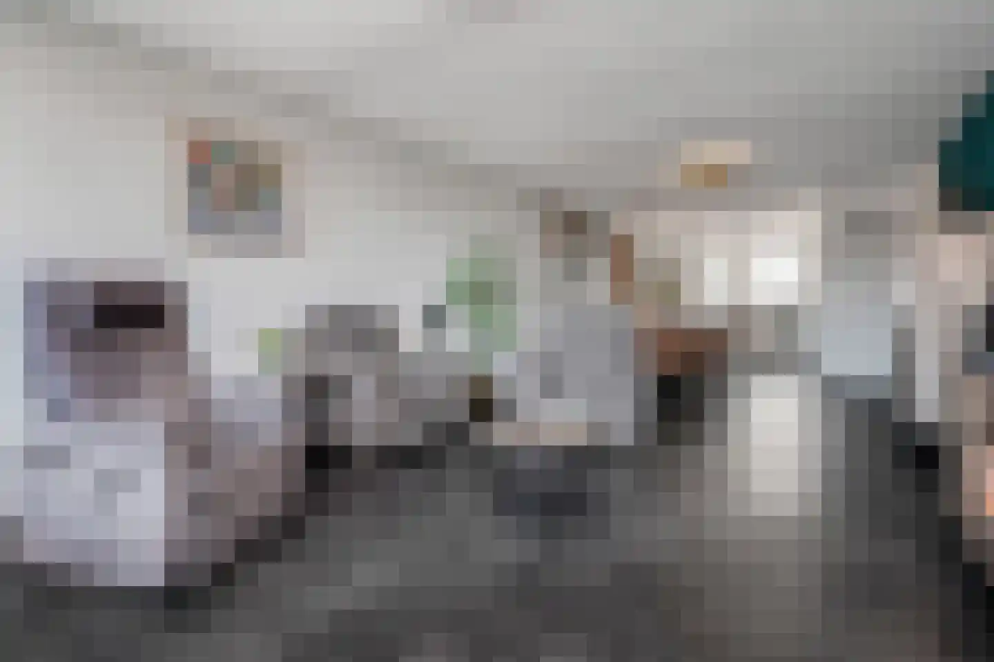 Laan van Leidschenveen 259 Den Haag thumbnail 27