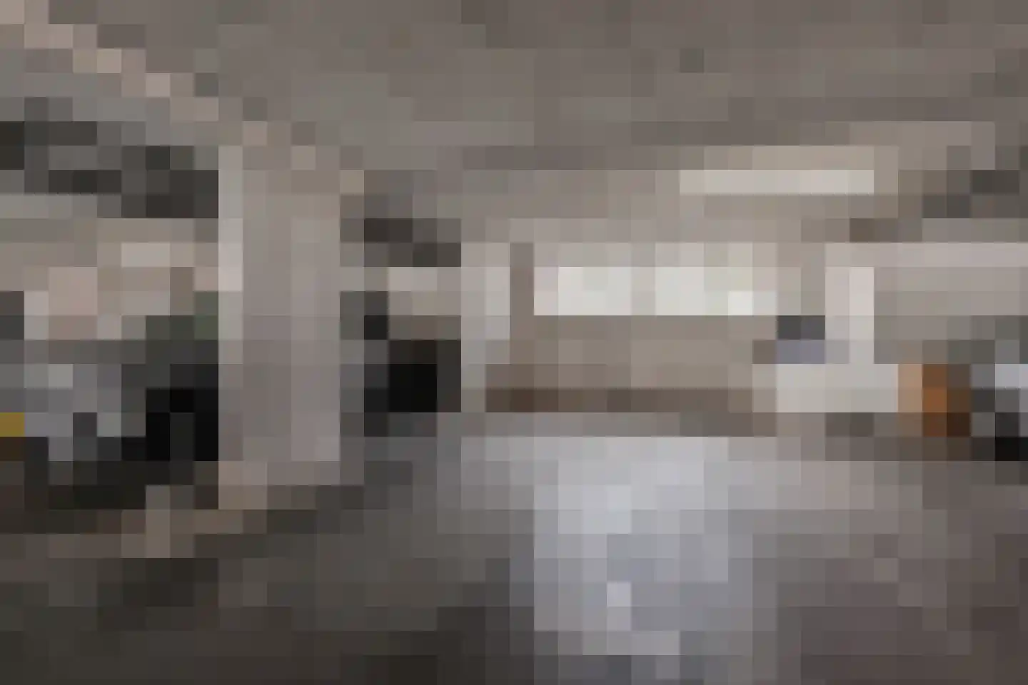Laan van Leidschenveen 259 Den Haag thumbnail 32