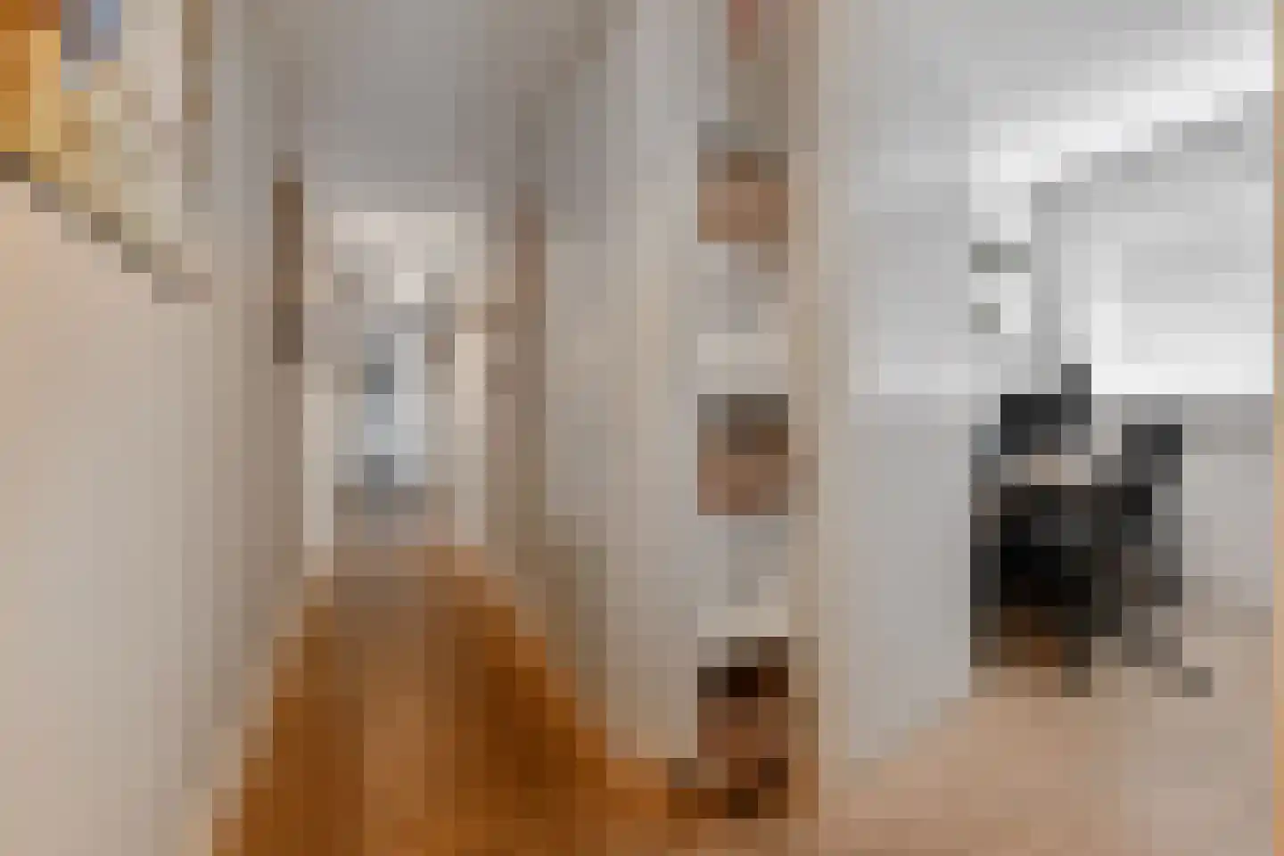 Laan van Leidschenveen 259 Den Haag thumbnail 6