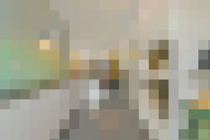 Laan van Lekkerkerk 52 Delft thumbnail 13