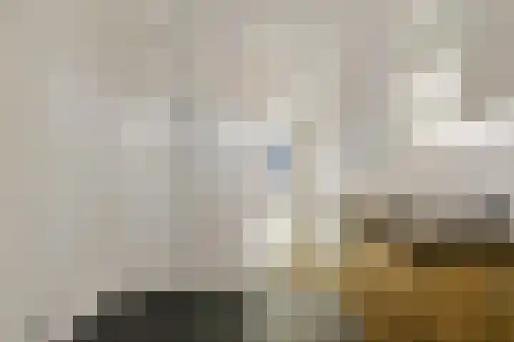 Laan van Lekkerkerk 52 Delft thumbnail 26