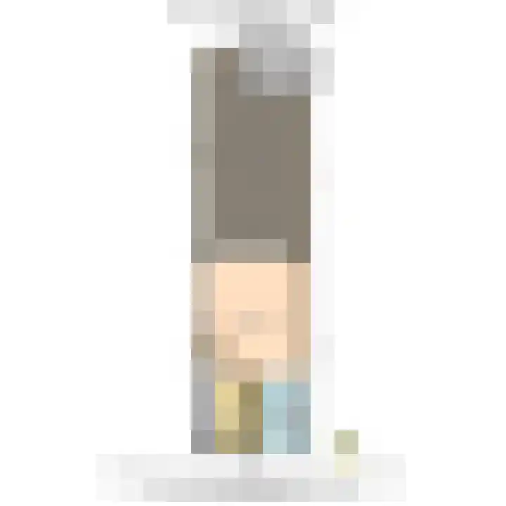 Laan van Lekkerkerk 52 Delft thumbnail 36