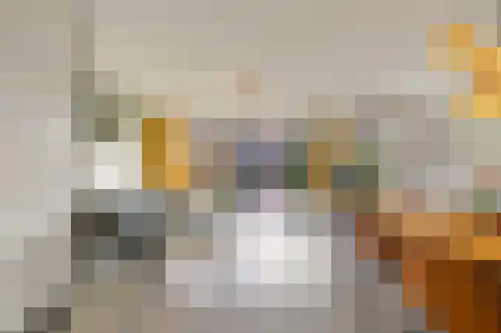 Laan van Lekkerkerk 52 Delft thumbnail 5