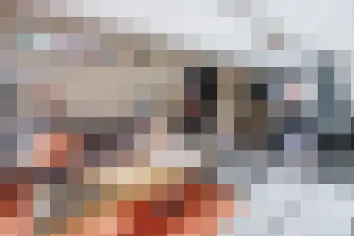Laan van Lekkerkerk 92 Delft thumbnail 10