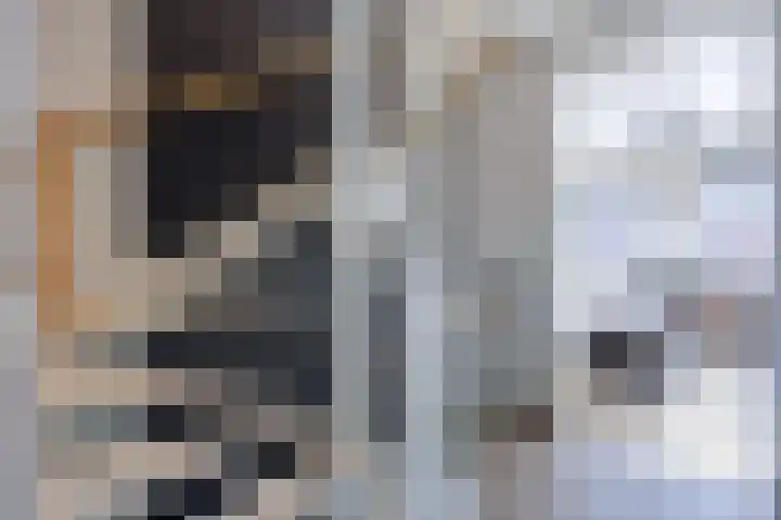 Laan van Lekkerkerk 92 Delft thumbnail 23