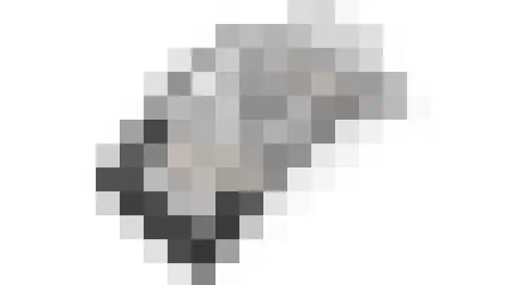 Laan van Lekkerkerk 92 Delft thumbnail 38