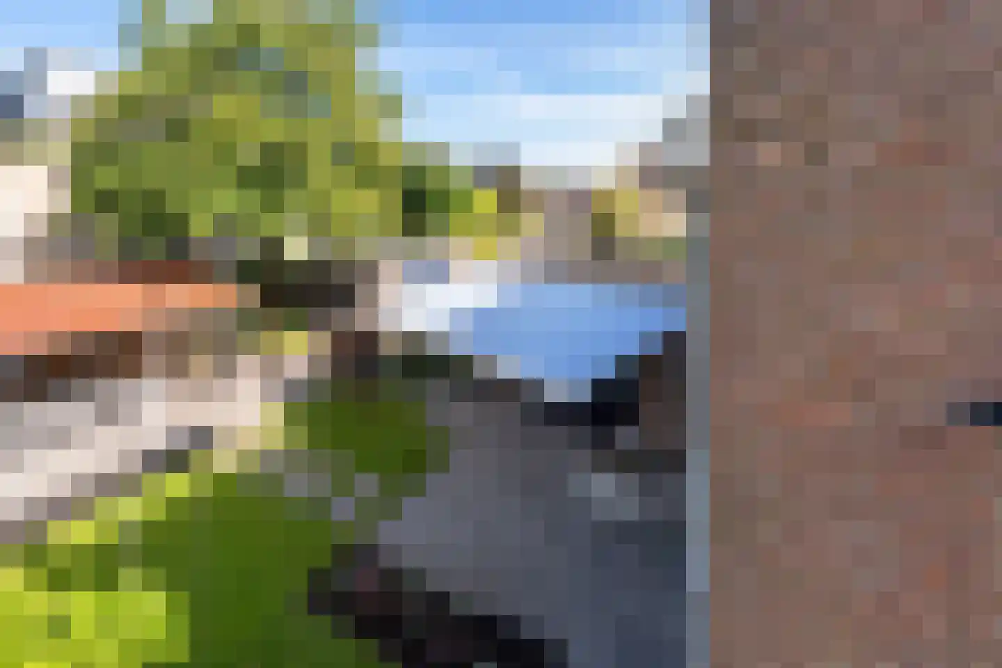 Laan van Lichtenberg 10 Woudenberg thumbnail 45