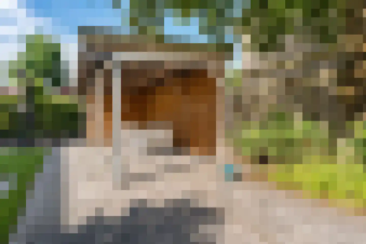 Laan van Lichtenberg 10 Woudenberg thumbnail 51
