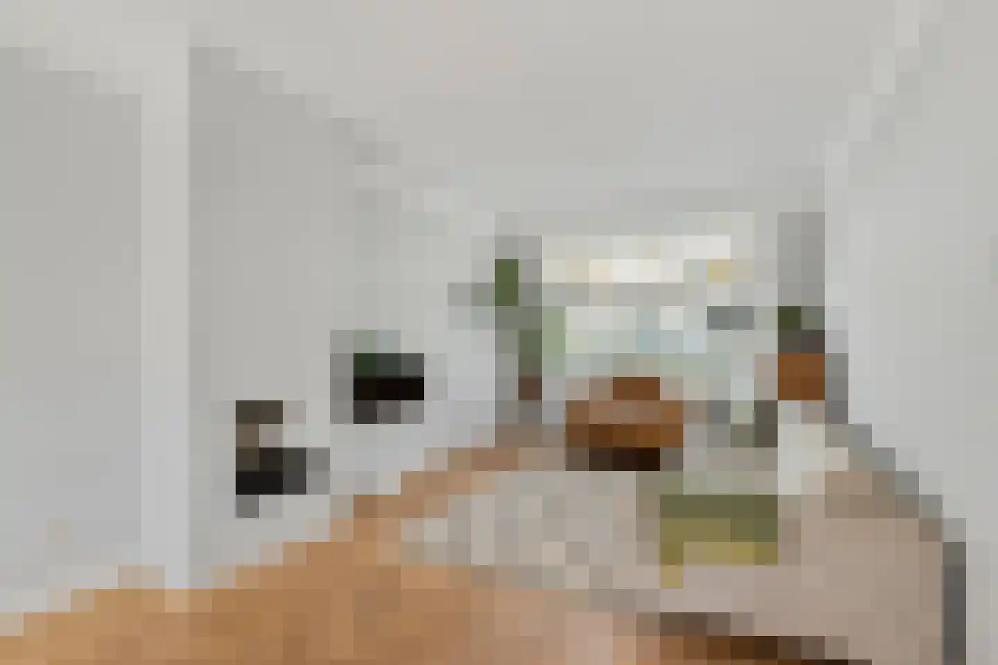 Laan van Liedekerke 30 Breda thumbnail 10