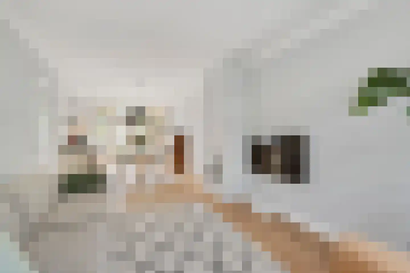Laan van Liedekerke 30 Breda thumbnail 11