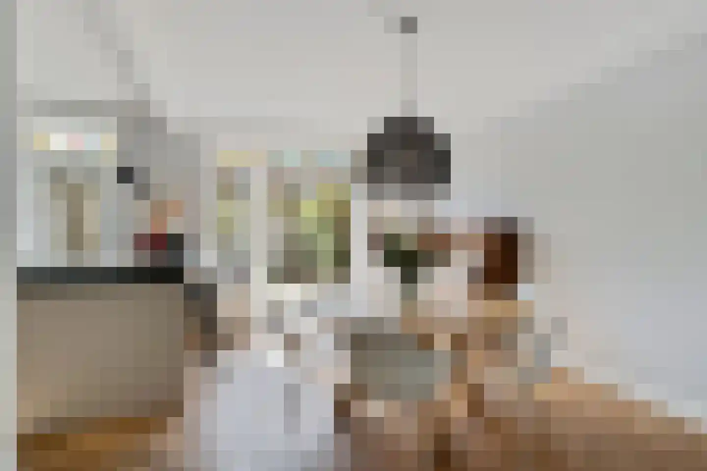 Laan van Liedekerke 30 Breda thumbnail 13