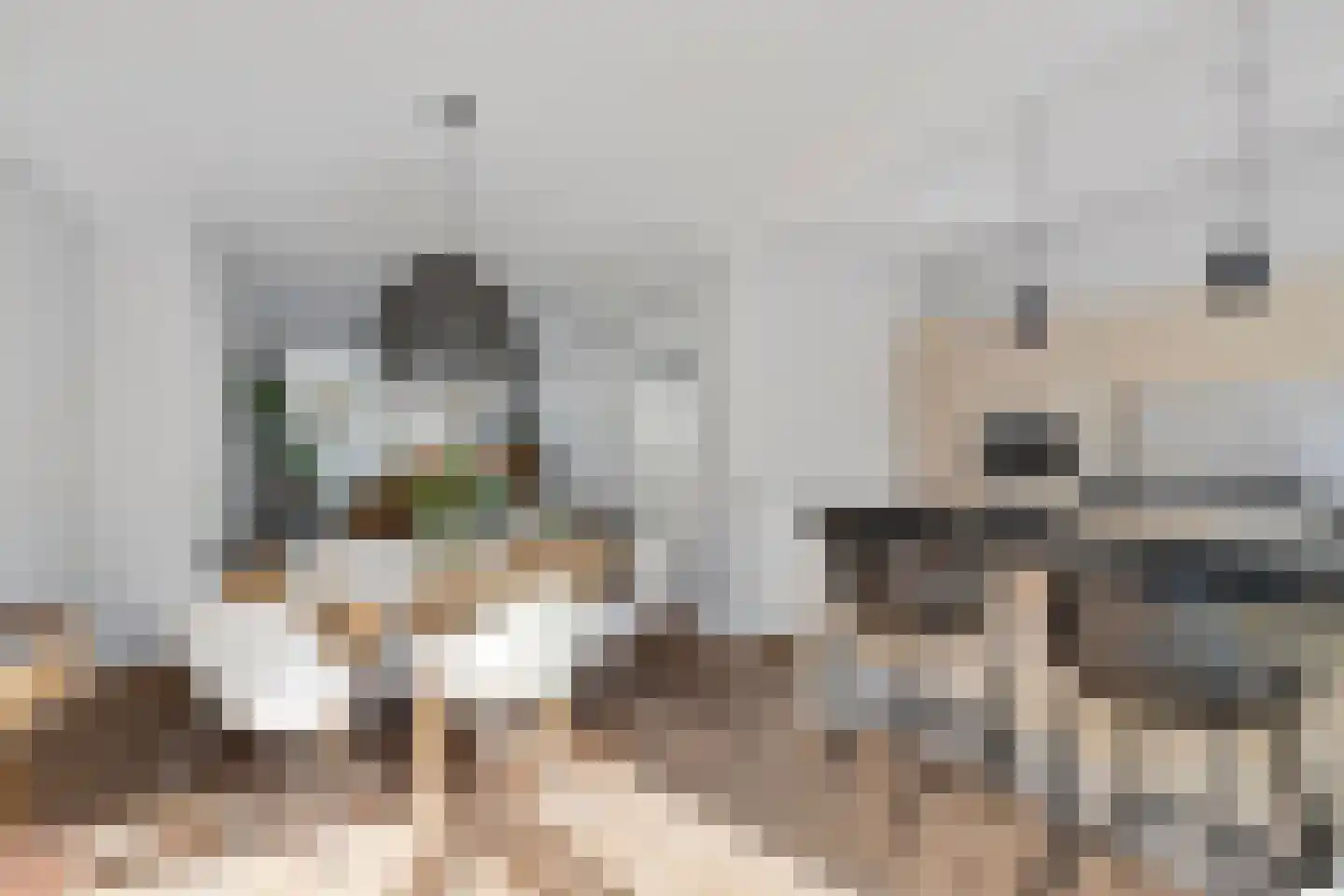 Laan van Liedekerke 30 Breda thumbnail 17