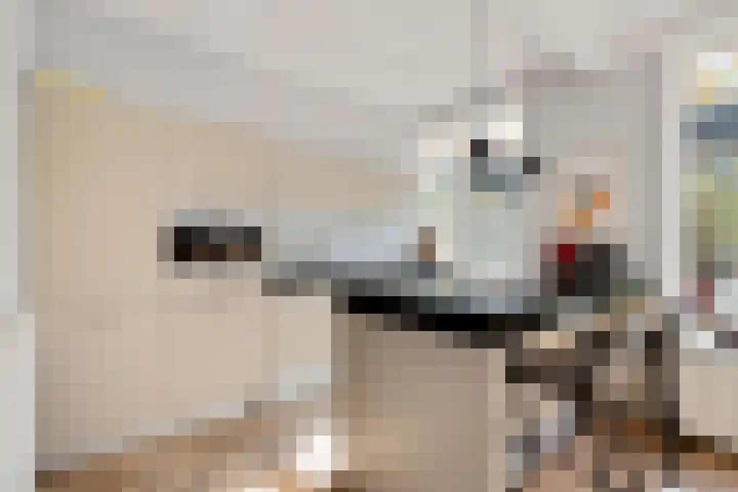 Laan van Liedekerke 30 Breda thumbnail 18