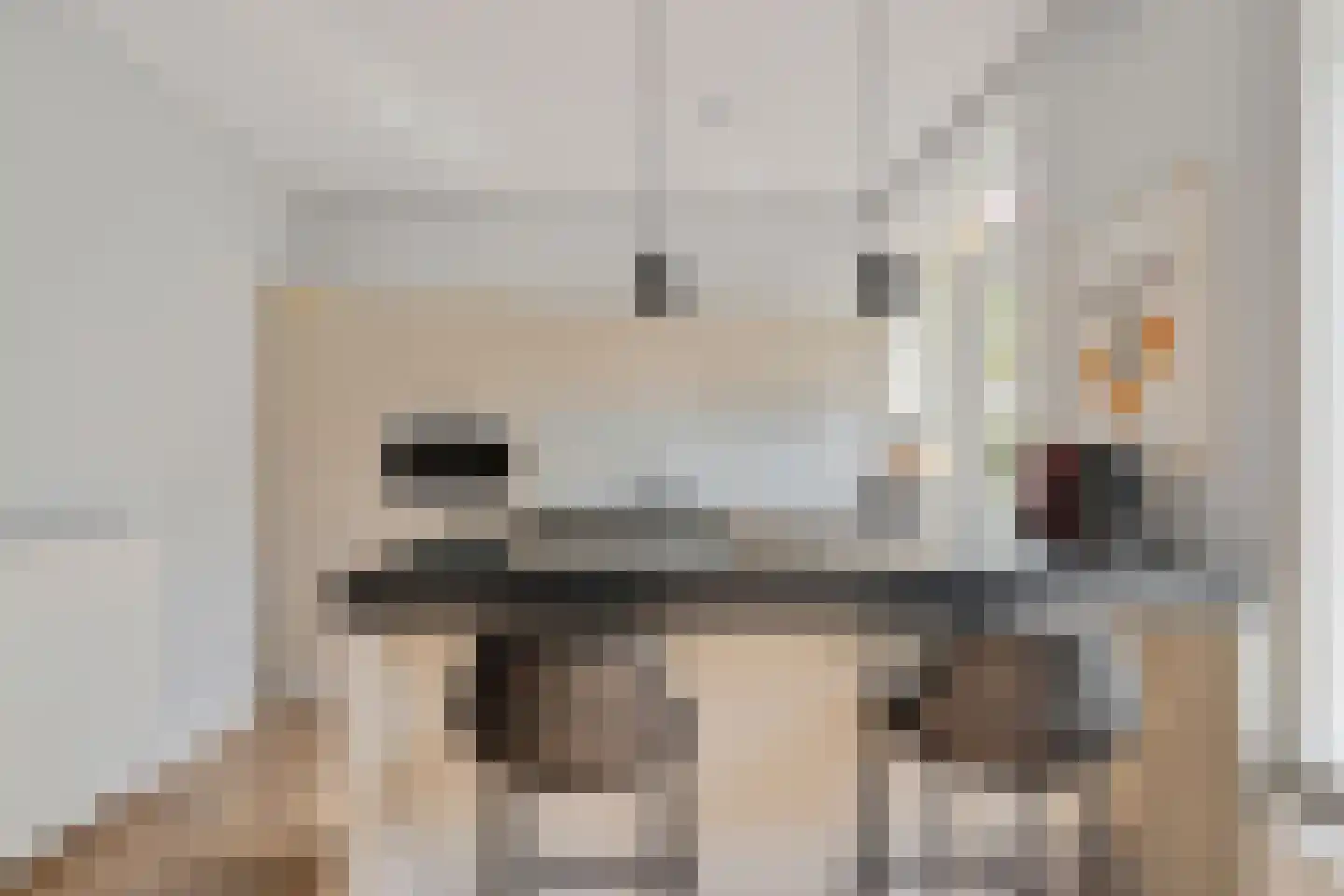 Laan van Liedekerke 30 Breda thumbnail 19