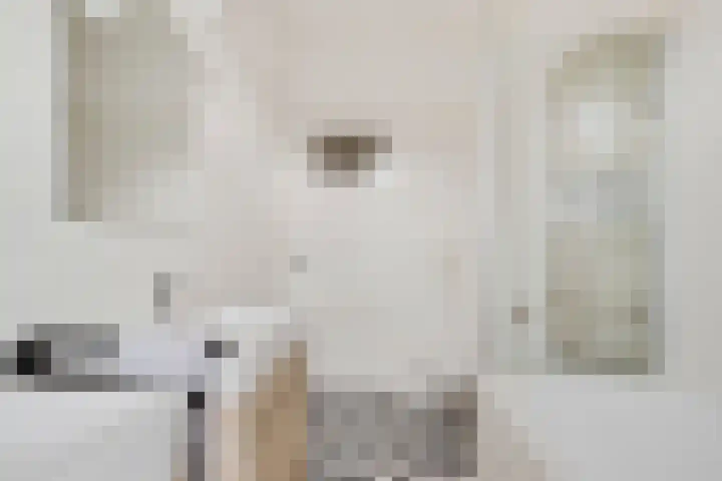 Laan van Liedekerke 30 Breda thumbnail 28