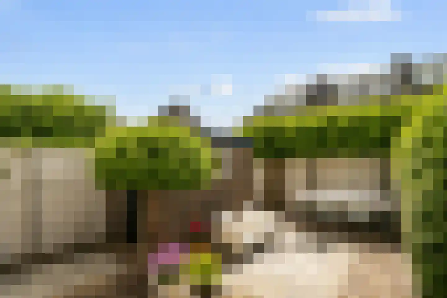 Laan van Liedekerke 30 Breda thumbnail 6
