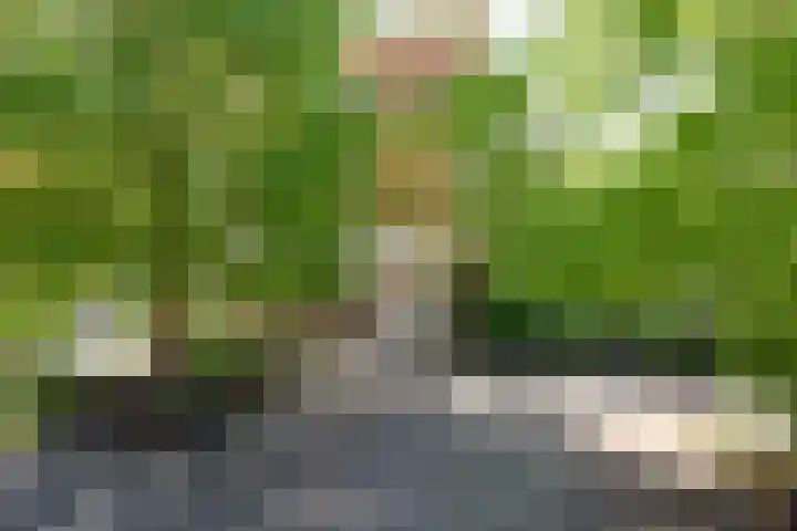 Laan van Loevestein 21 Nieuw-Vennep thumbnail 11