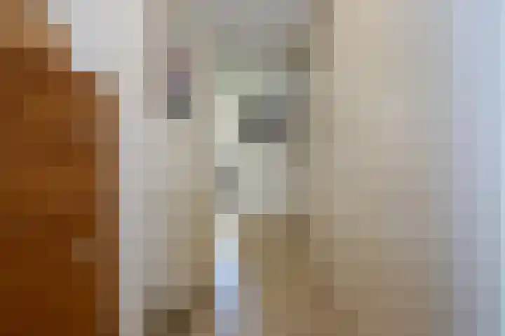 Laan van Loevestein 21 Nieuw-Vennep thumbnail 14