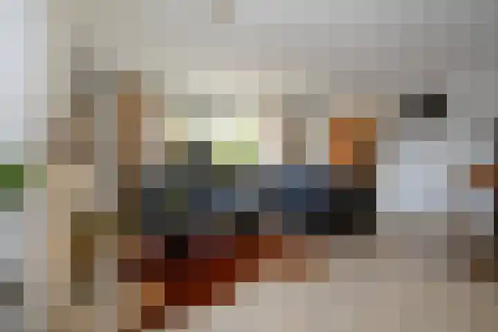 Laan van Loevestein 21 Nieuw-Vennep thumbnail 18
