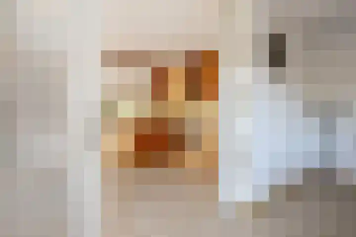 Laan van Loevestein 21 Nieuw-Vennep thumbnail 22