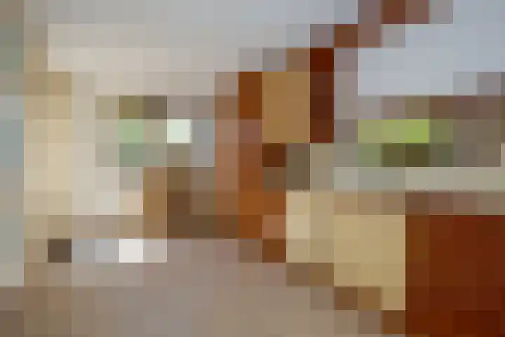 Laan van Loevestein 21 Nieuw-Vennep thumbnail 25