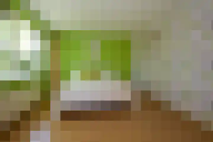 Laan van Loevestein 21 Nieuw-Vennep thumbnail 41