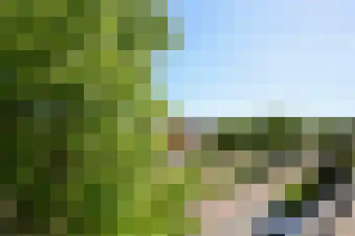 Laan van Loevestein 21 Nieuw-Vennep thumbnail 48