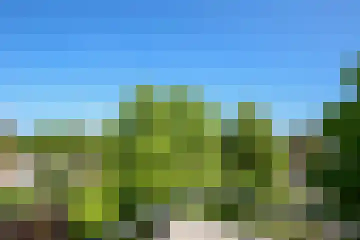 Laan van Loevestein 21 Nieuw-Vennep thumbnail 49