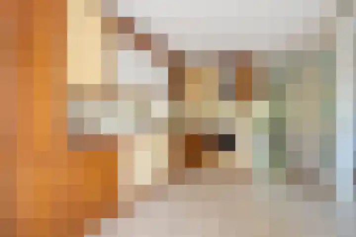 Laan van Loevestein 21 Nieuw-Vennep thumbnail 5