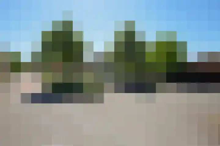 Laan van Loevestein 21 Nieuw-Vennep thumbnail 61