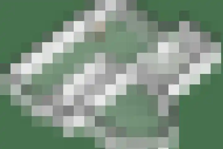 Laan van Loevestein 21 Nieuw-Vennep thumbnail 69