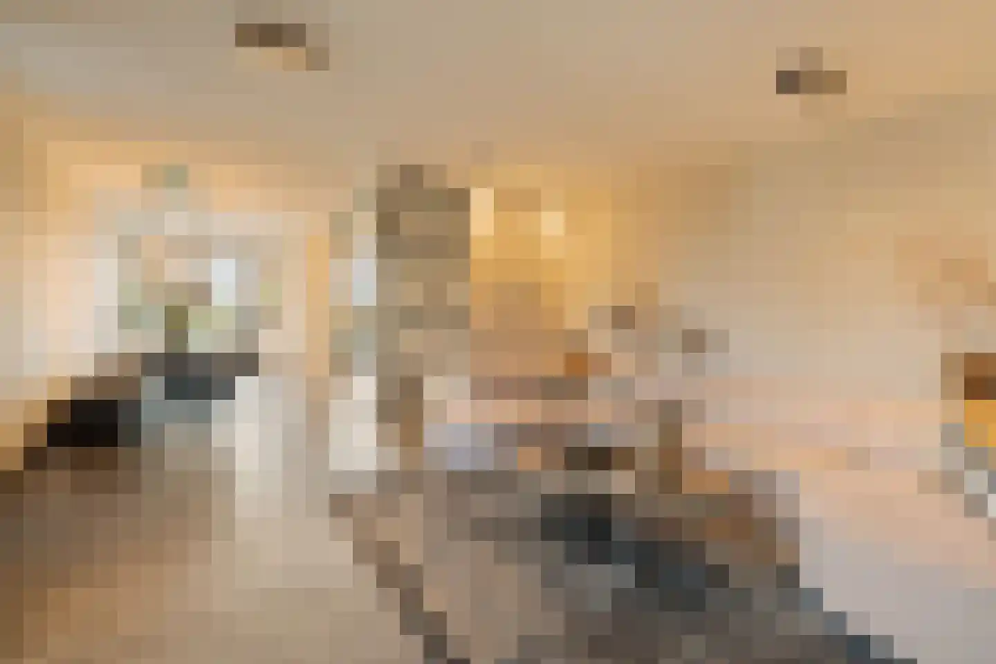 Laan van Magisch Realisme 109 Rotterdam thumbnail 11