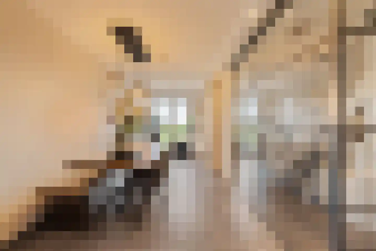 Laan van Magisch Realisme 109 Rotterdam thumbnail 13