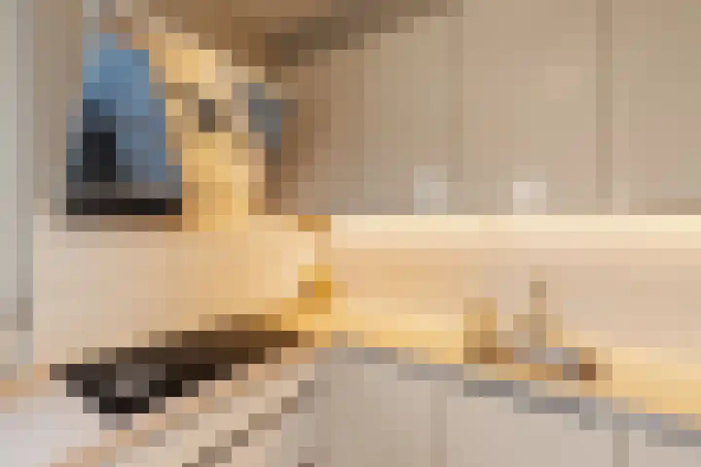 Laan van Magisch Realisme 109 Rotterdam thumbnail 15