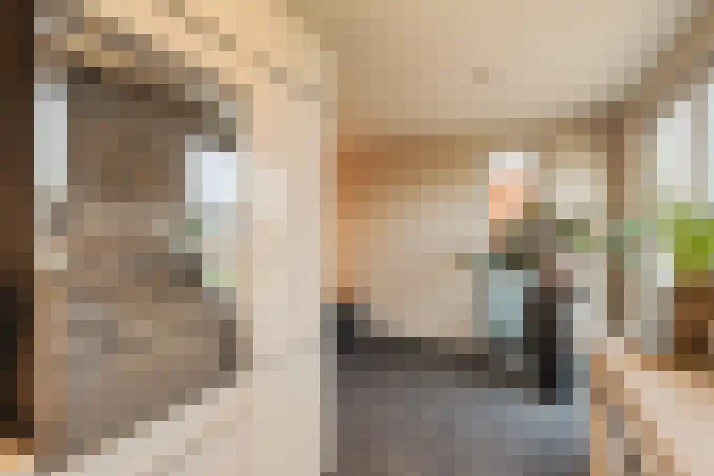 Laan van Magisch Realisme 109 Rotterdam thumbnail 16