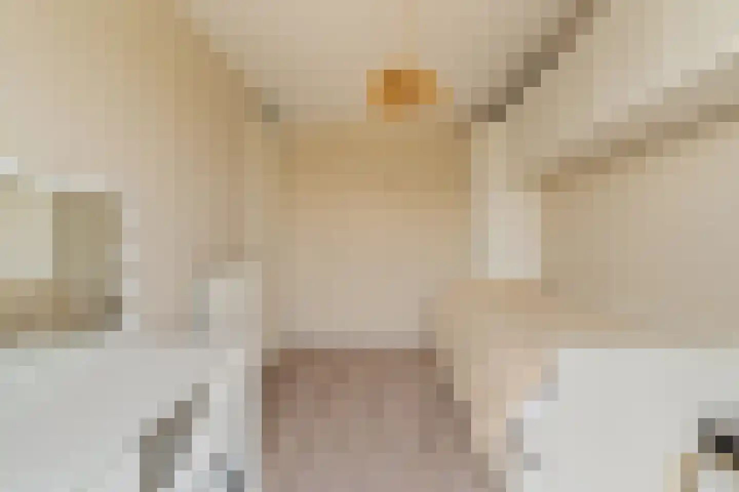 Laan van Magisch Realisme 109 Rotterdam thumbnail 30