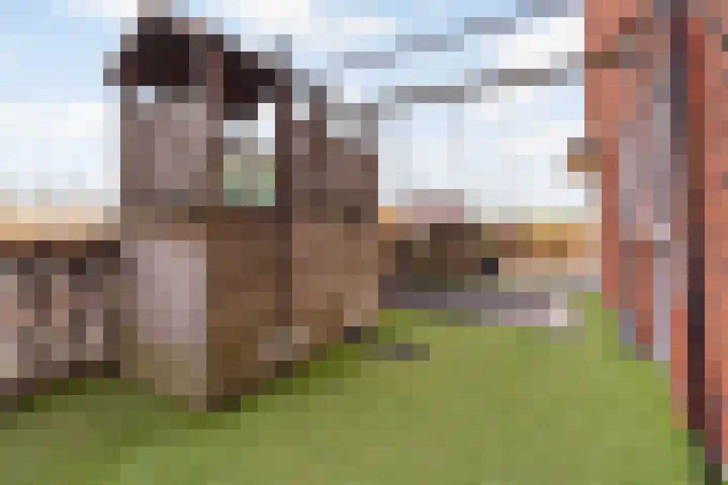 Laan van Magisch Realisme 109 Rotterdam thumbnail 40