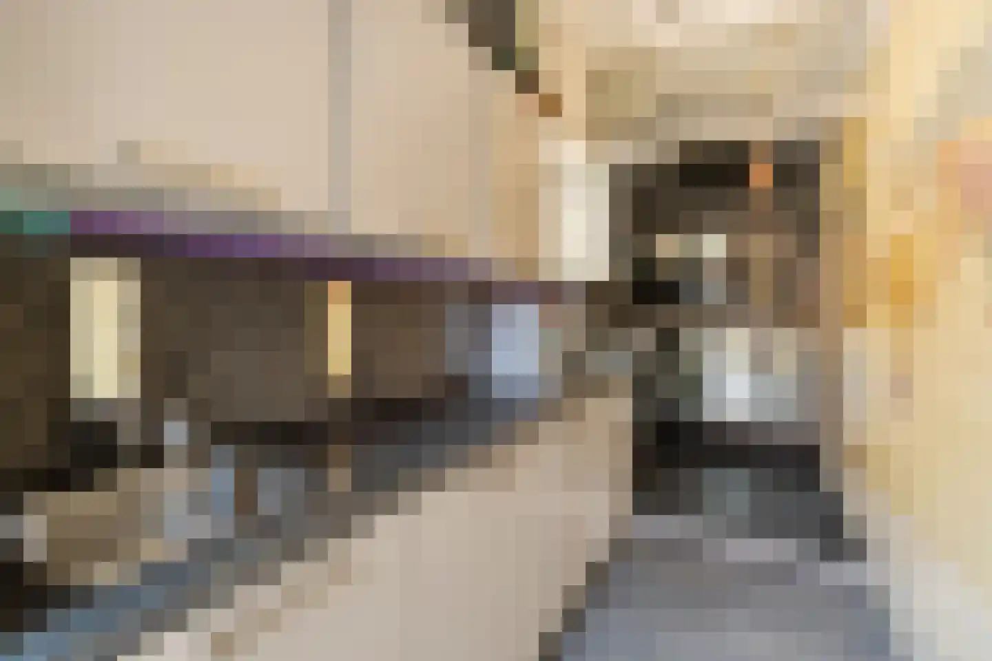 Laan van Magisch Realisme 109 Rotterdam thumbnail 42
