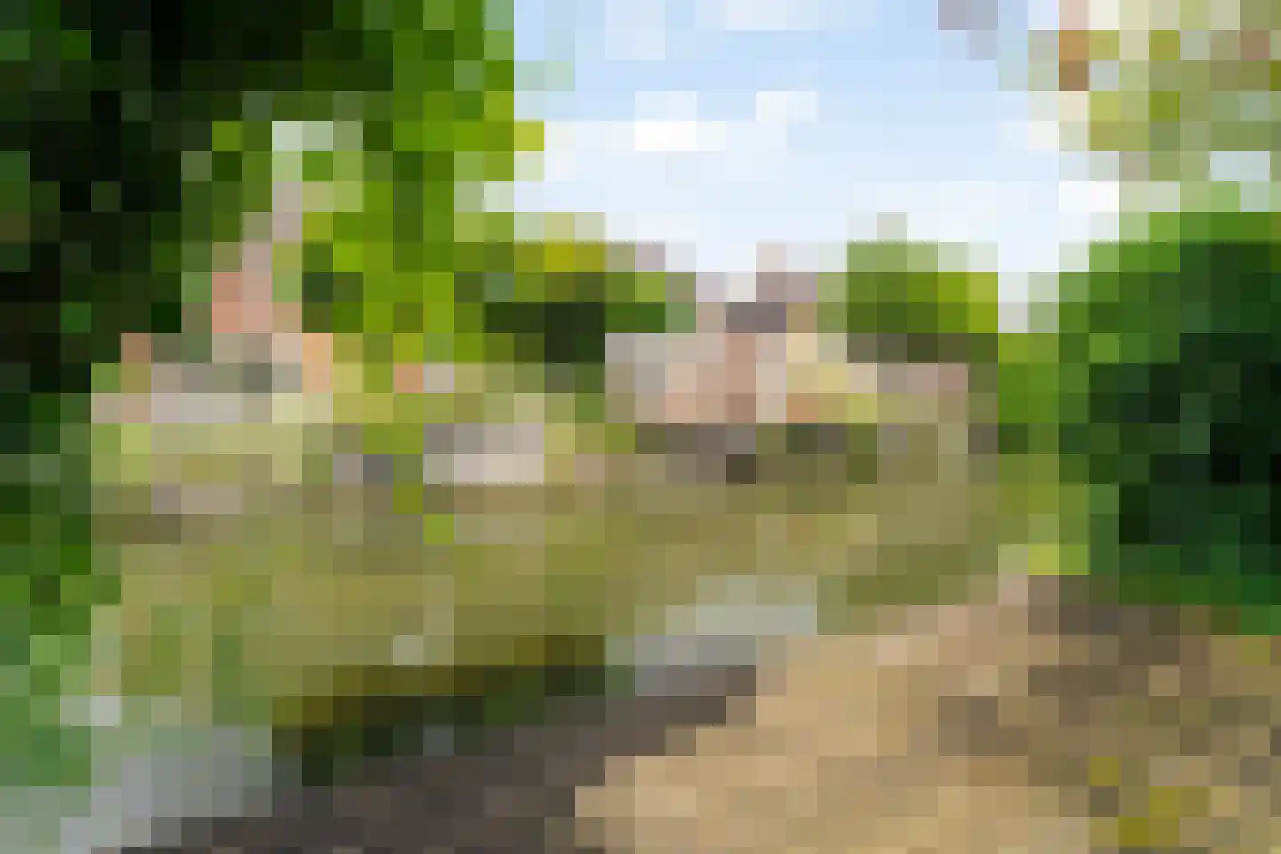 Laan van Magisch Realisme 11 B Rotterdam thumbnail 33