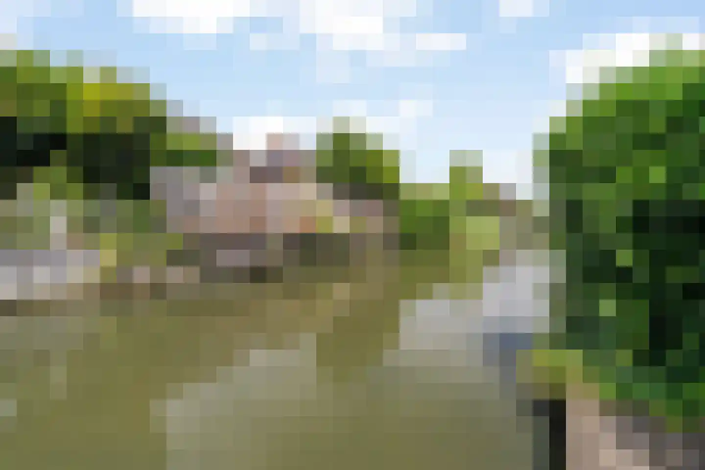 Laan van Magisch Realisme 11 B Rotterdam thumbnail 34