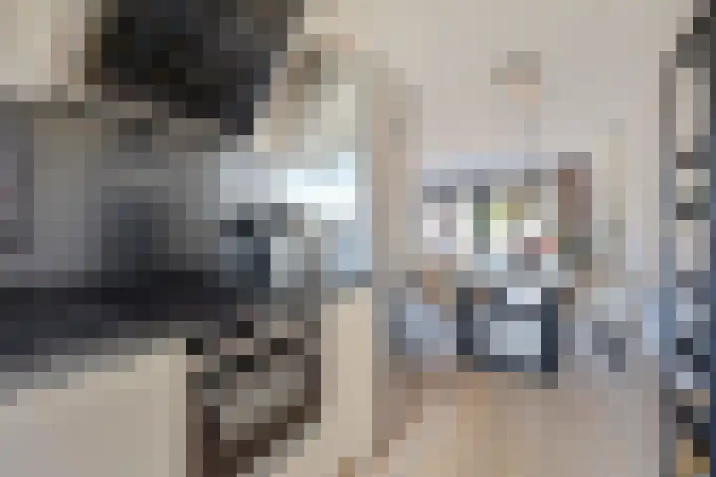 Laan van Magisch Realisme 19 A Rotterdam thumbnail 18