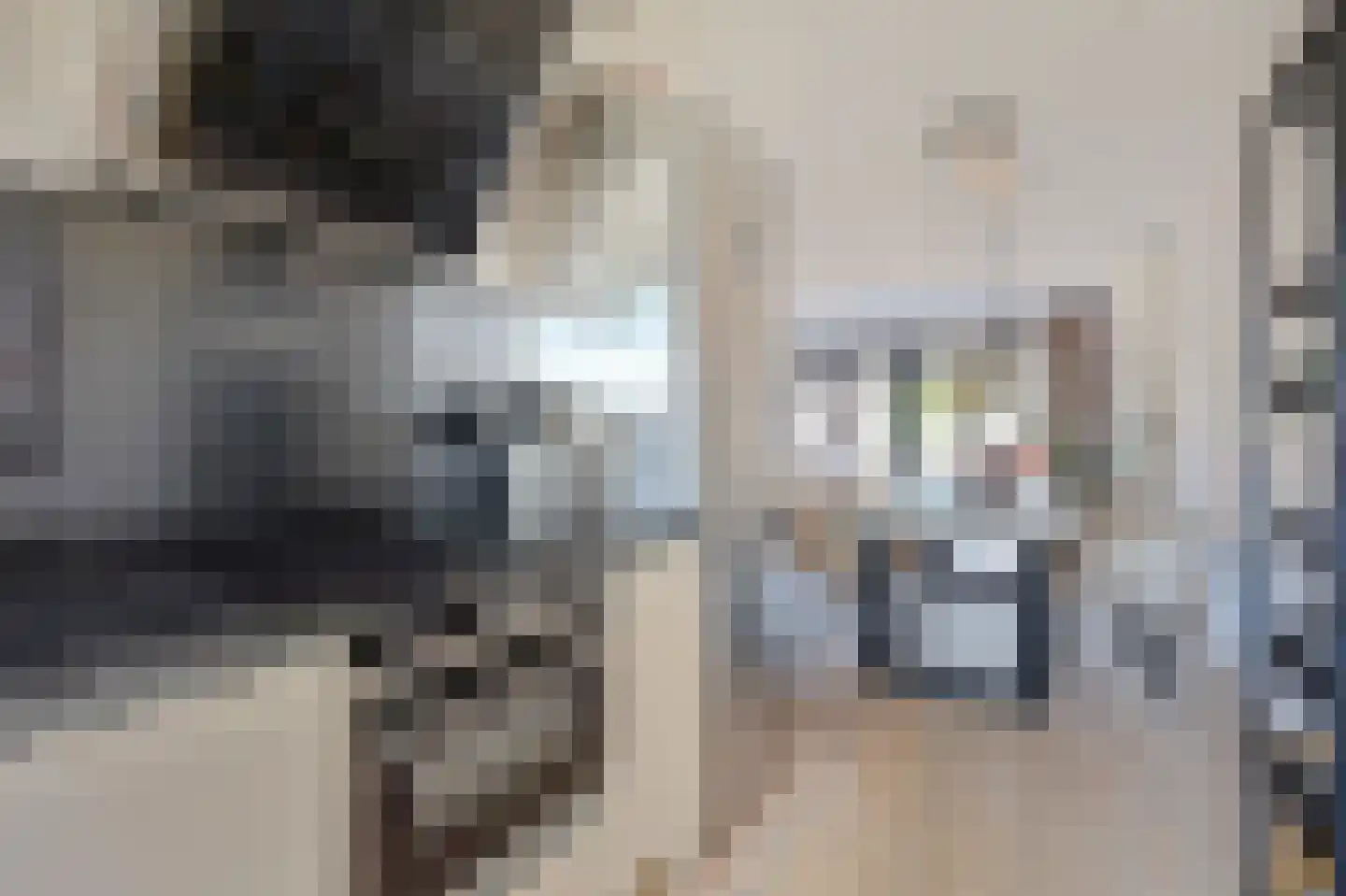 Laan van Magisch Realisme 19 A Rotterdam thumbnail 19