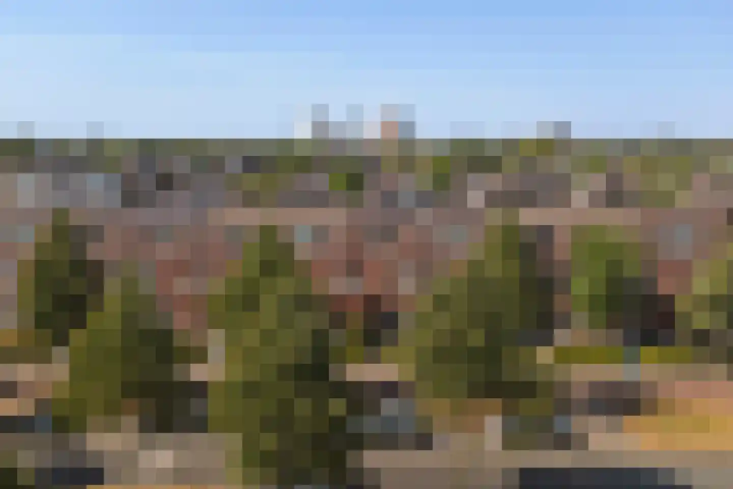 Laan van Magisch Realisme 19 A Rotterdam thumbnail 49